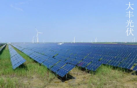 大丰光伏